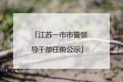 江苏一市市管领导干部任前公示